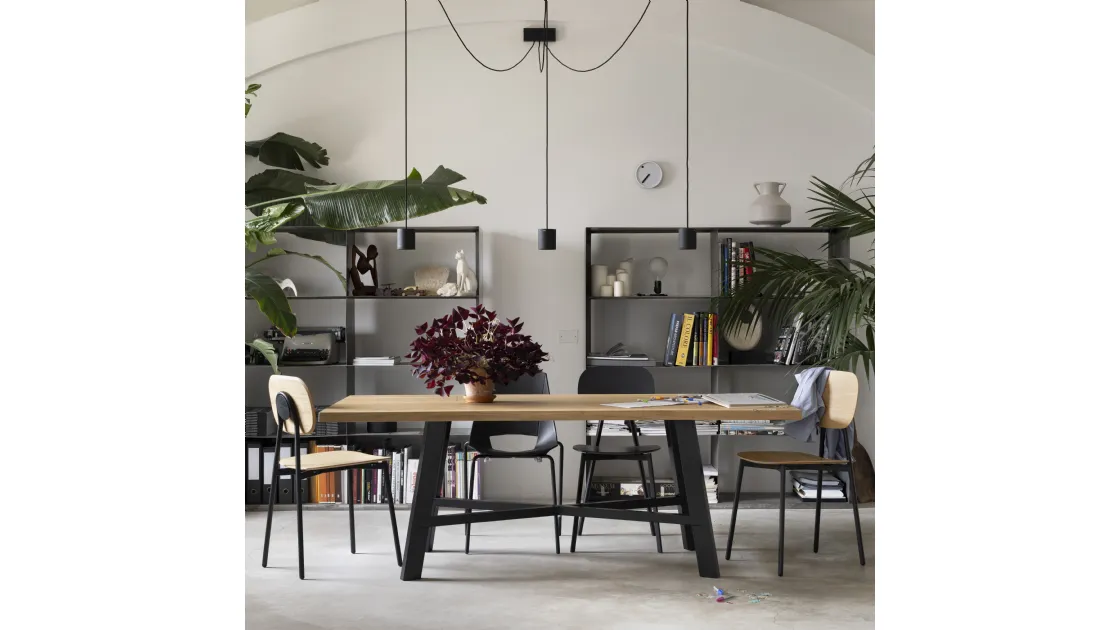 Tata Young Chair Veneered in Pointhouse
